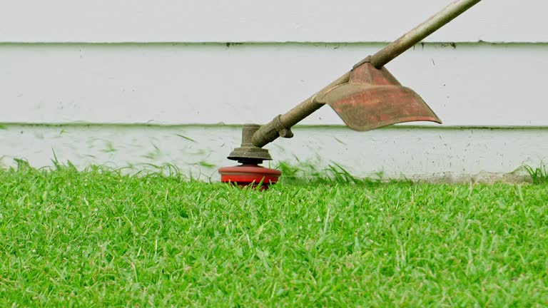 Best Lawn Grading and Leveling  in Sloan, IA